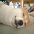 クズbot