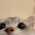 おくすす