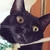 ぬいぬい