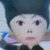 tomochiii