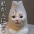 り