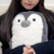 りゅう