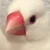 いかめし