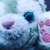 さちこ