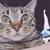 カザネ