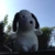 やめぴ