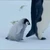 きんぐ