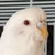 にっきー