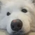 ほ