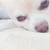kazu