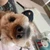 みな