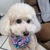 honami