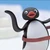 Pingu