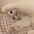 飼い猫ちゃん