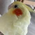 ゆい