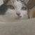 ふっくー