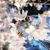 Jelly_A_film
