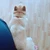 yuki
