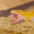 わのう