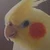 ピクニック