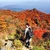 RyotaYamada