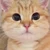 あっちゃん