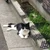 KeikoHanzawa