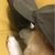 そーすけ