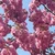 _3.hyr