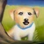 Ricco