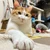 ちぃ