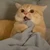 なぎ