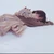 SHIORI