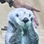 いかちゃむ