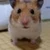 あやちーぬ