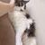 maru