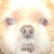 ユウカ