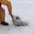 ビリリダマ
