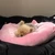 すぎちゃん