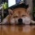 さかもち