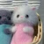 ワ