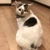 すみえ