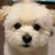 ユイ