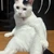 thunmaru25