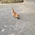 光