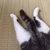 りもこん