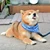 hokuto