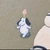 ぶるーず