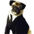 FrankthePug