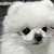 さいとー